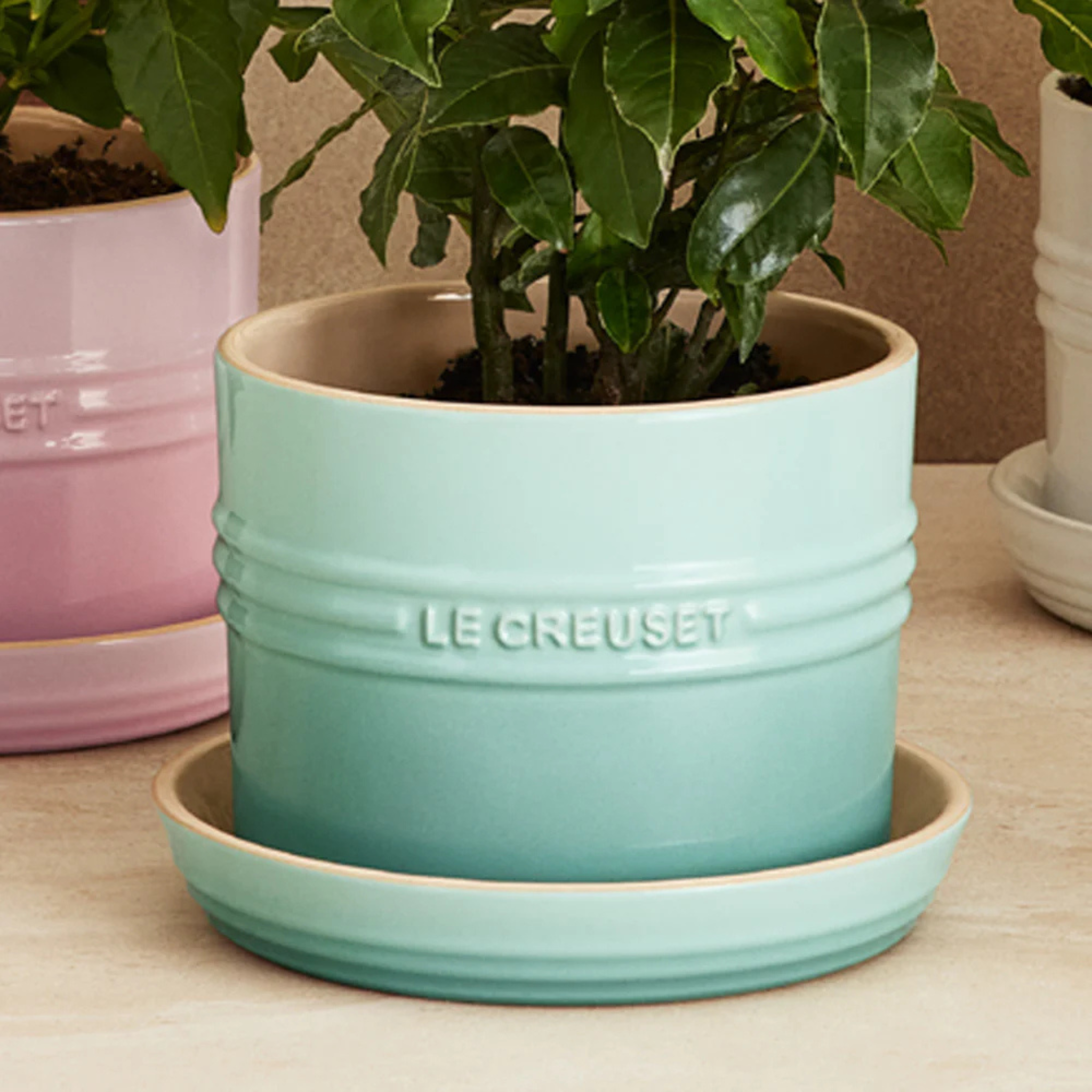 Le Creuset Sage Stoneware Herb Pot with Tray