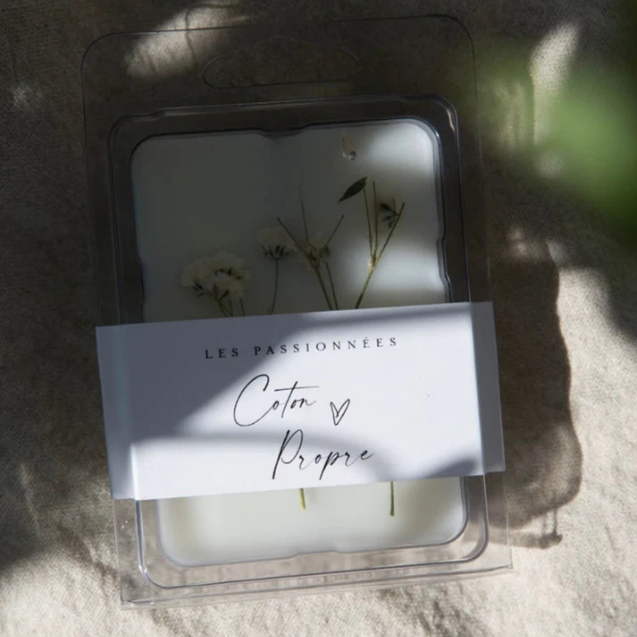 Cubes de cire parfumée Coton Propre - Les Passionnées
