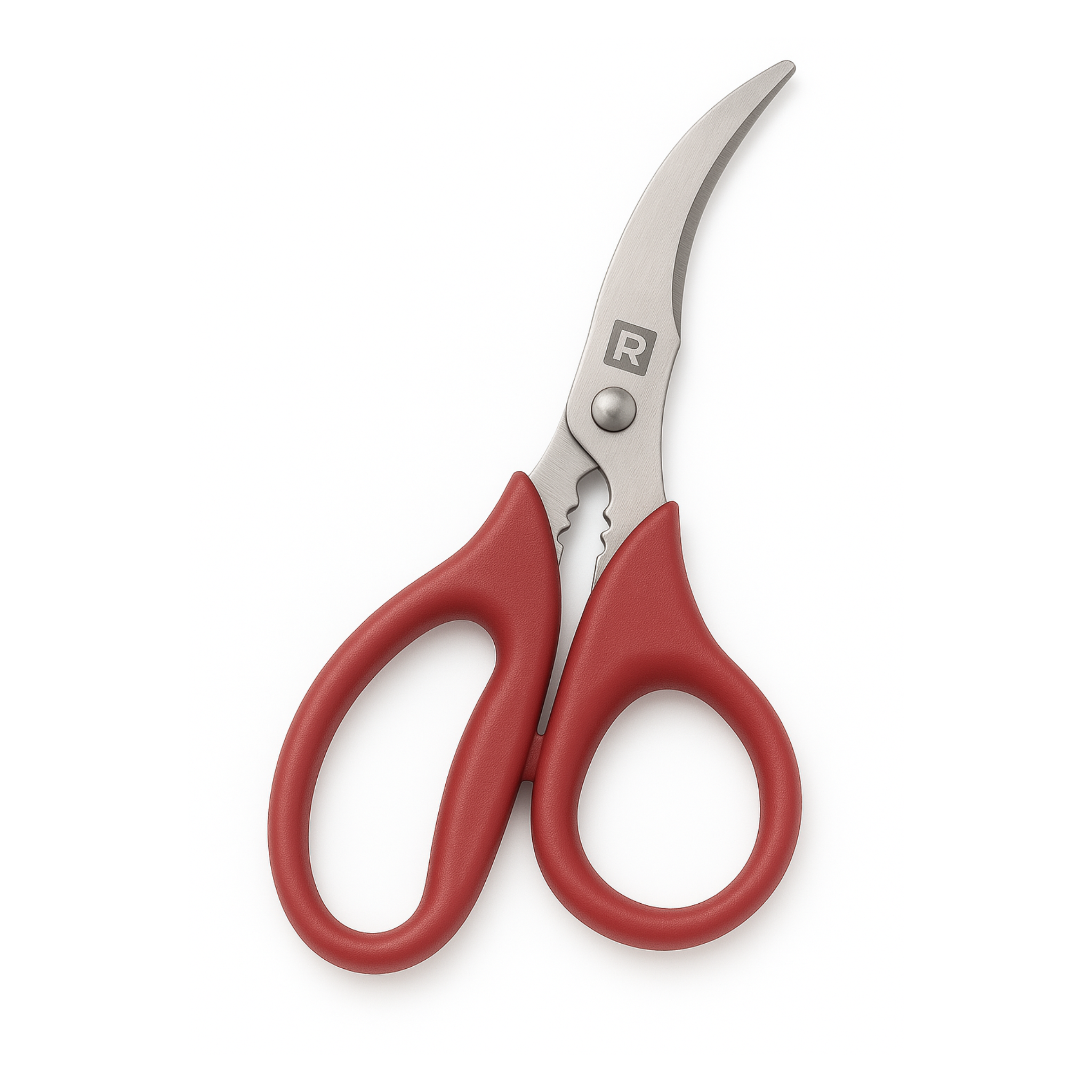 Ciseaux à fruits de mer - Ricardo