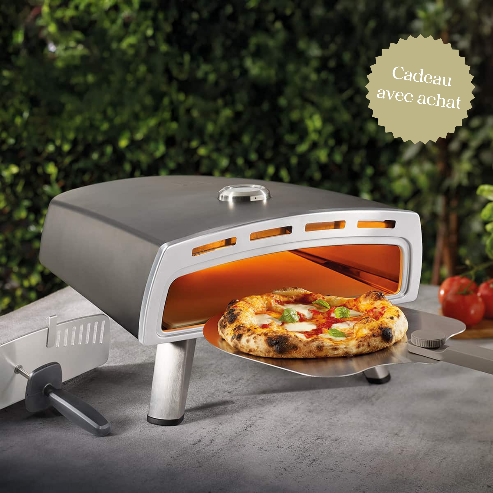 Four à pizza au gaz – Ricardo