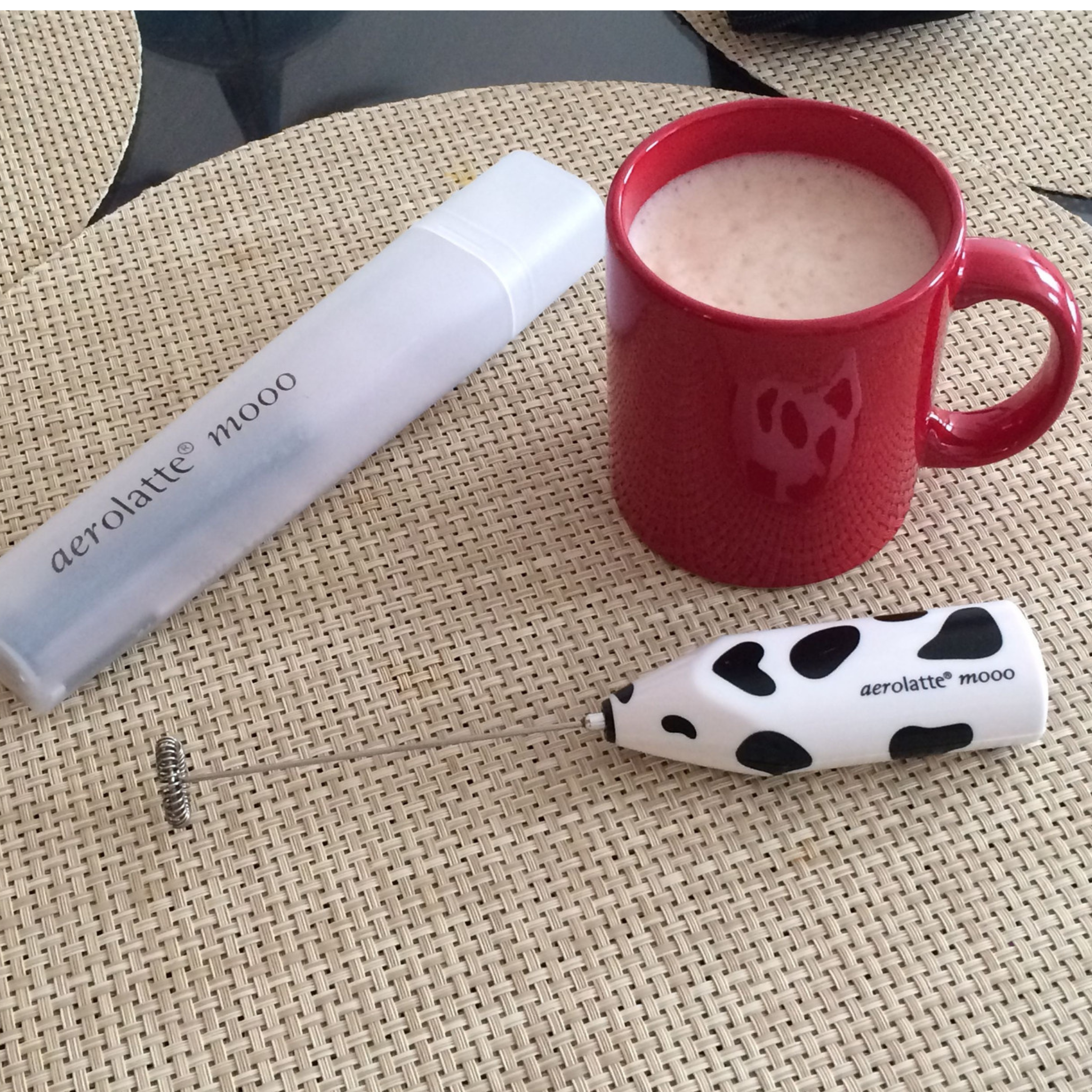 Mousseur à lait portable avec étui de rangement