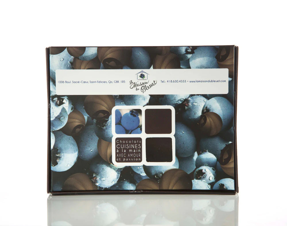 100g bag of dried blueberries - La maison du bleuet