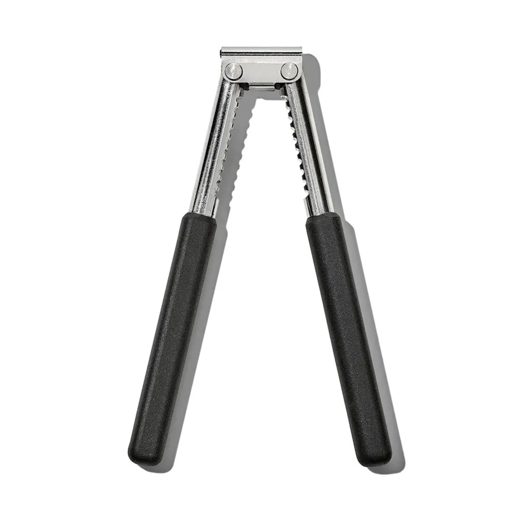 casse noix fruits de mer vue de dessus