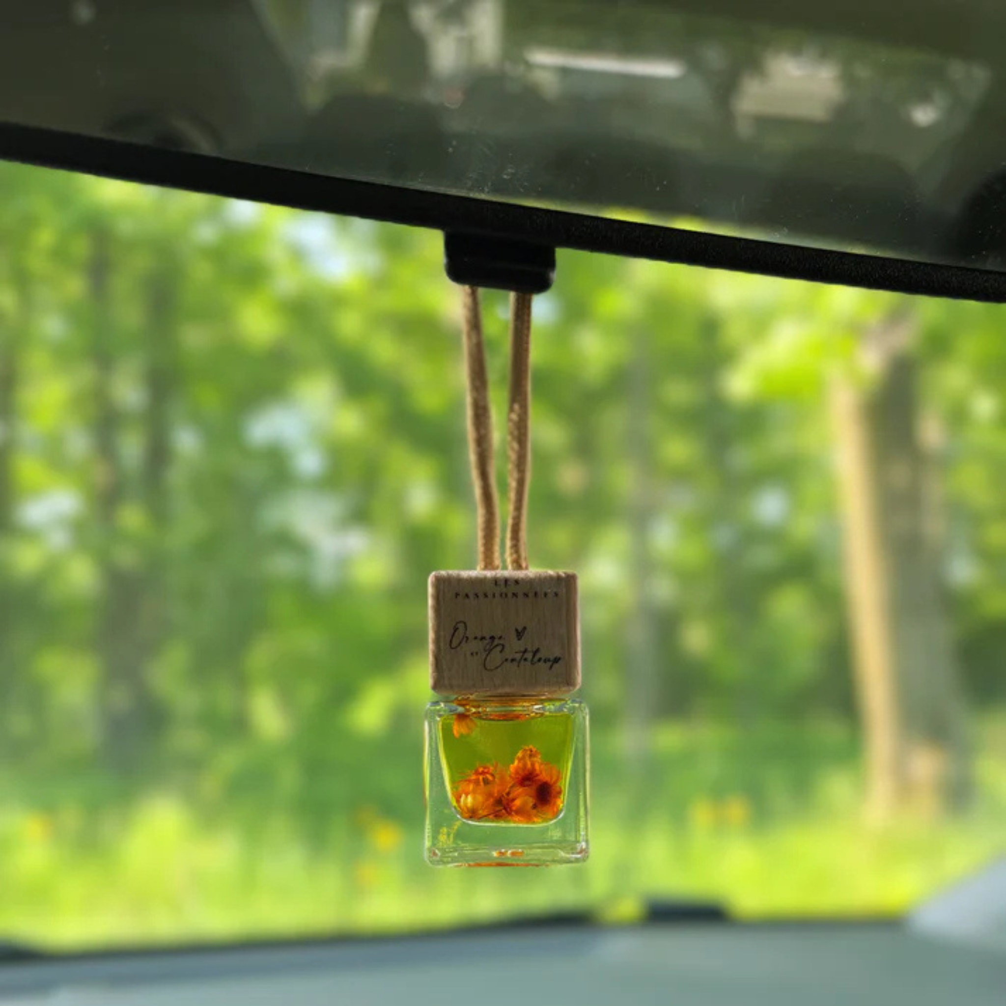 Diffuseur à voiture Orange et Cantaloup 45g - Les Passionnées