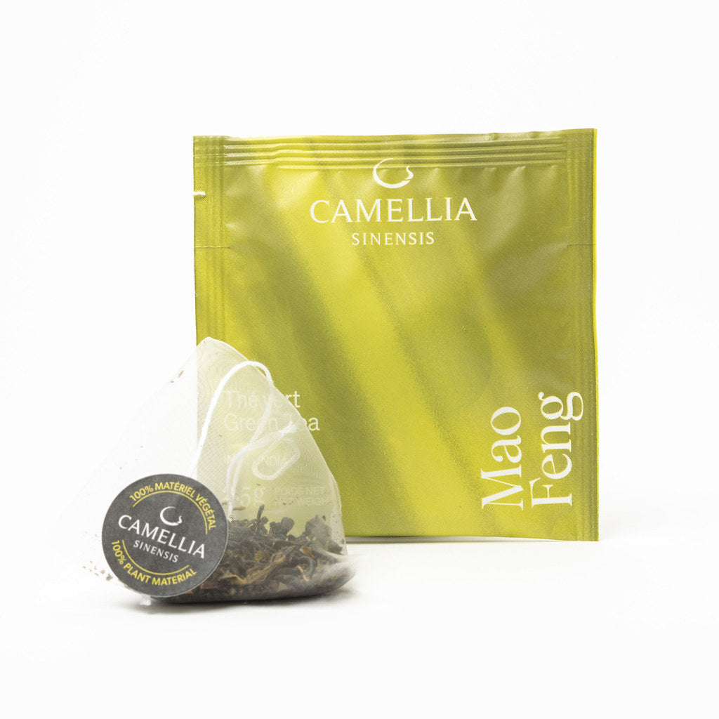 Sachet de thé Mao Feng 2.5g - Camellia Sinensis