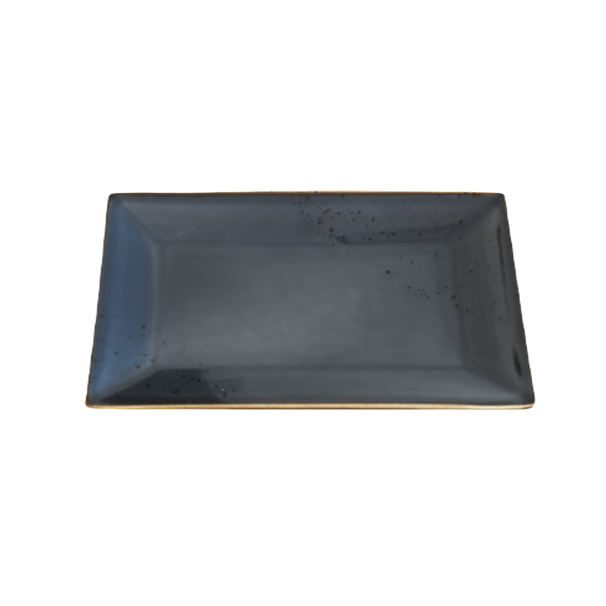 Assiette rectangulaire Bleue Terra 11x6.75 po