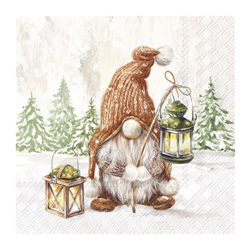 Ensemble de 20 serviettes de table en papier Gnome