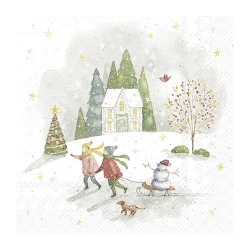 Ensemble de 20 serviettes de table en papier Noël