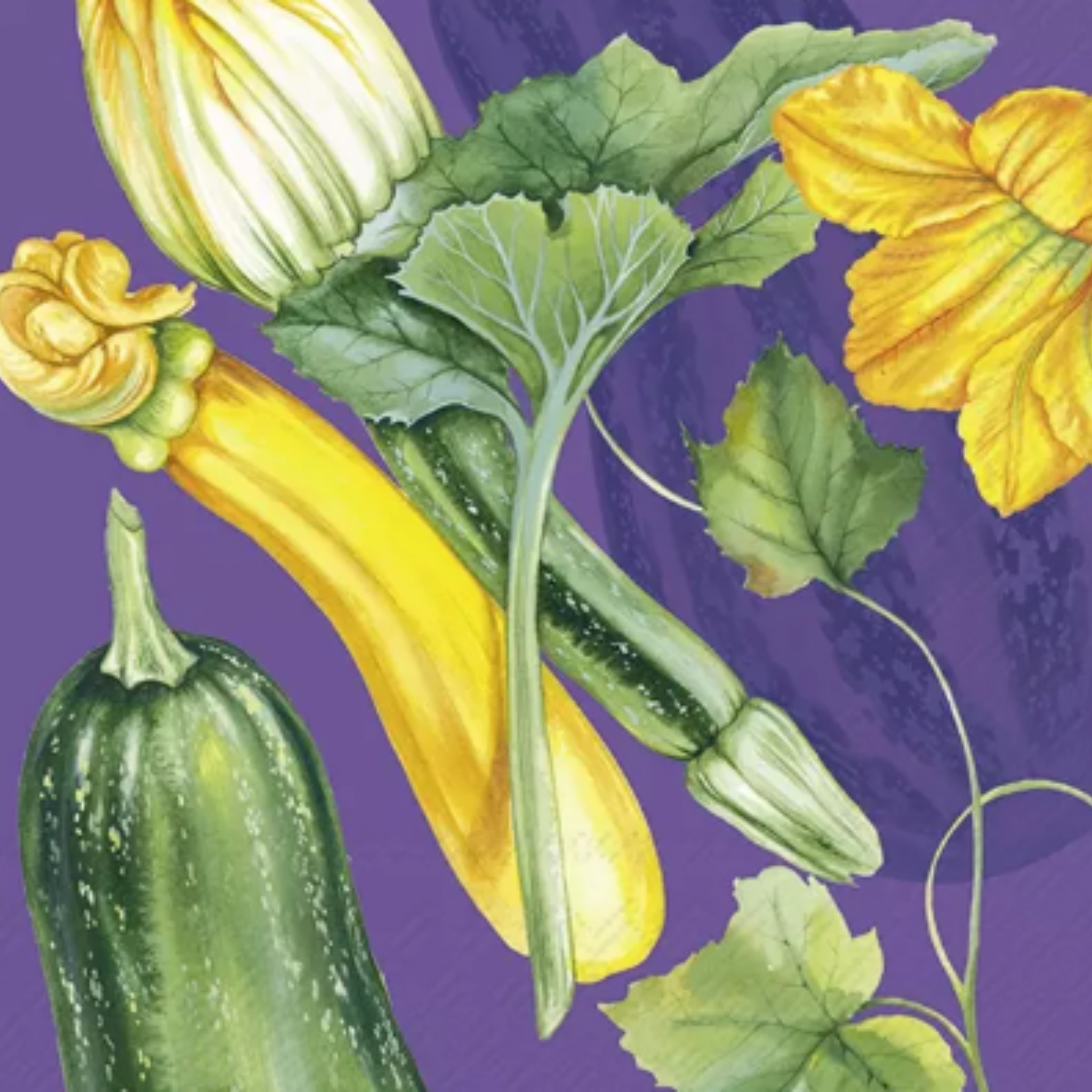 Ensemble de 20 serviettes en papier Zucchini Lilas