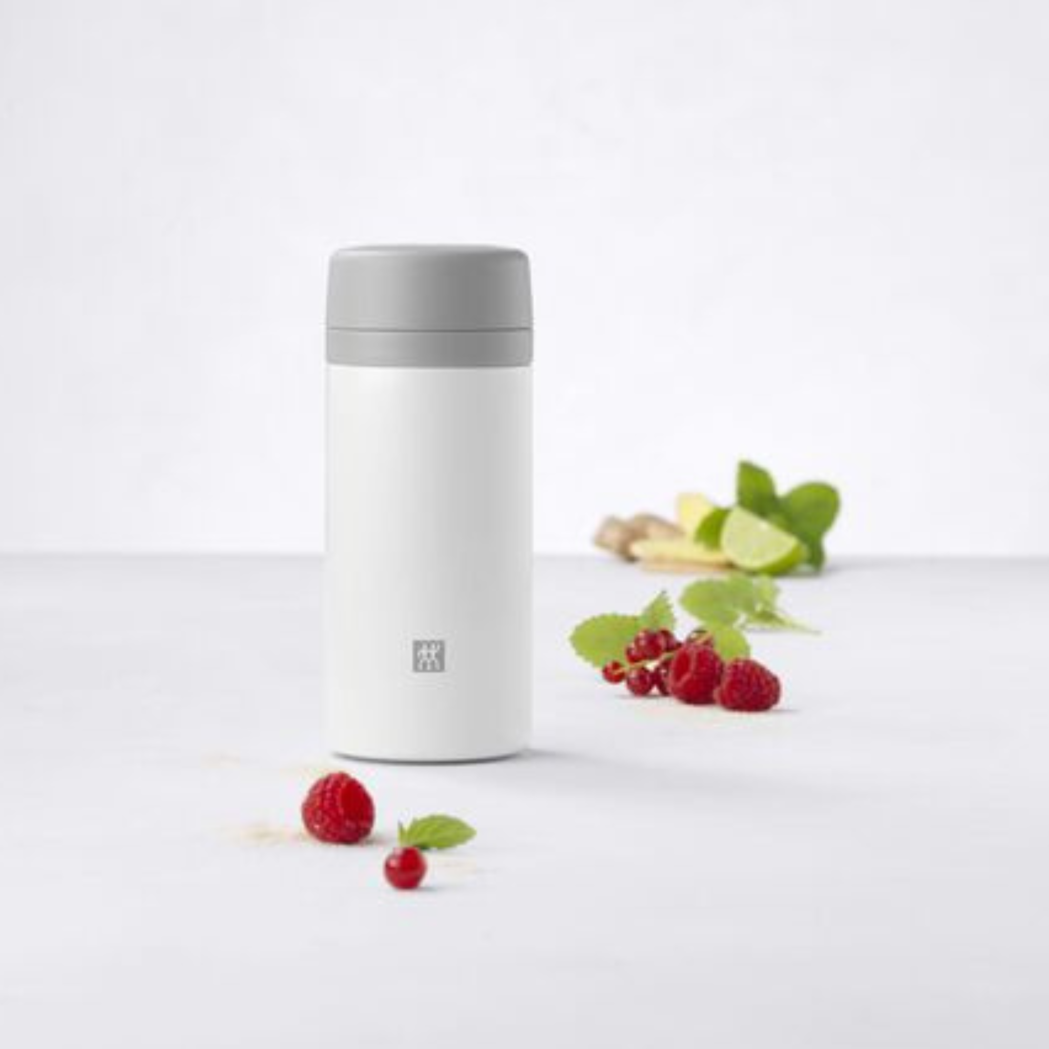 Bouteille isotherme avec infuseur à thé et fruits Thermo blanc-gris 420 ml – ZWILLING ZWILLING