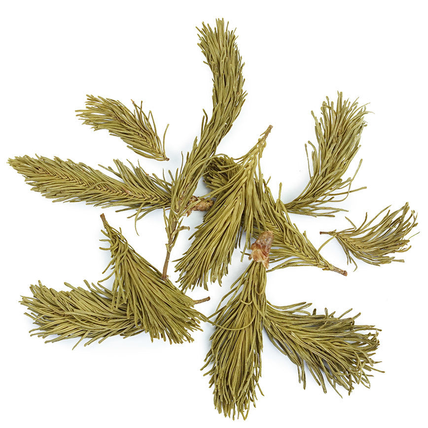 Pousses de sapin baumier 6g - Épices de cru