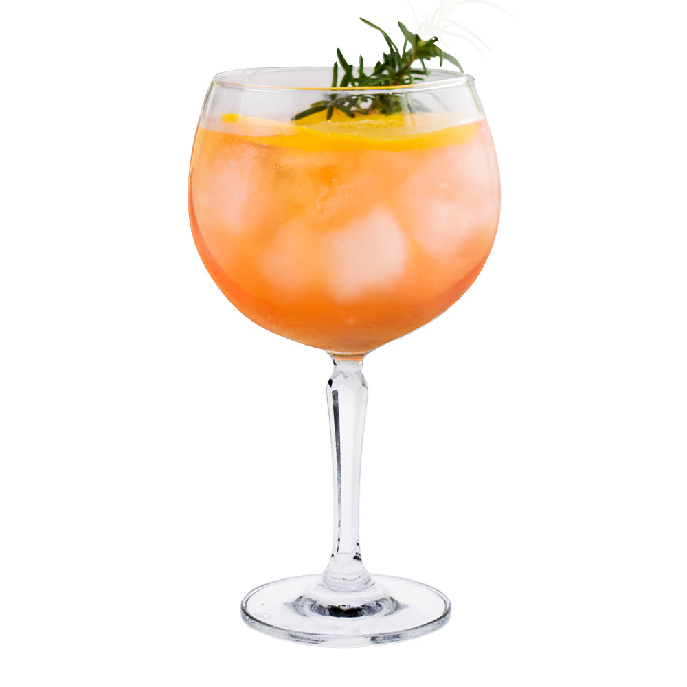 Ensemble de 4 verres à gin Copa Gin 600ml