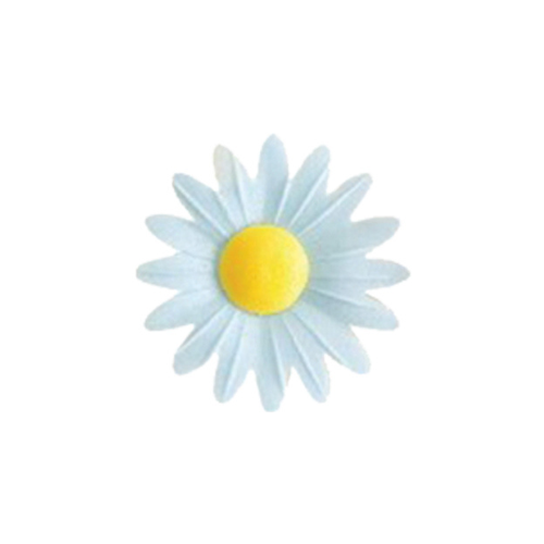 Marguerites blanches en azyme comestibles 100 unités