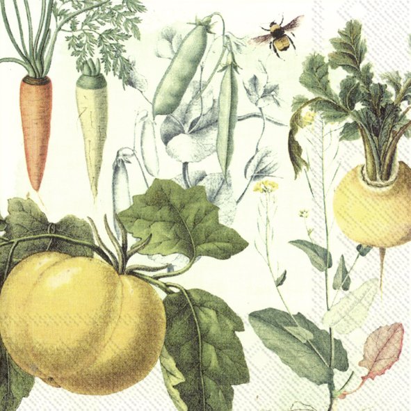 Ensemble de 20 serviettes de table en papier Jardin