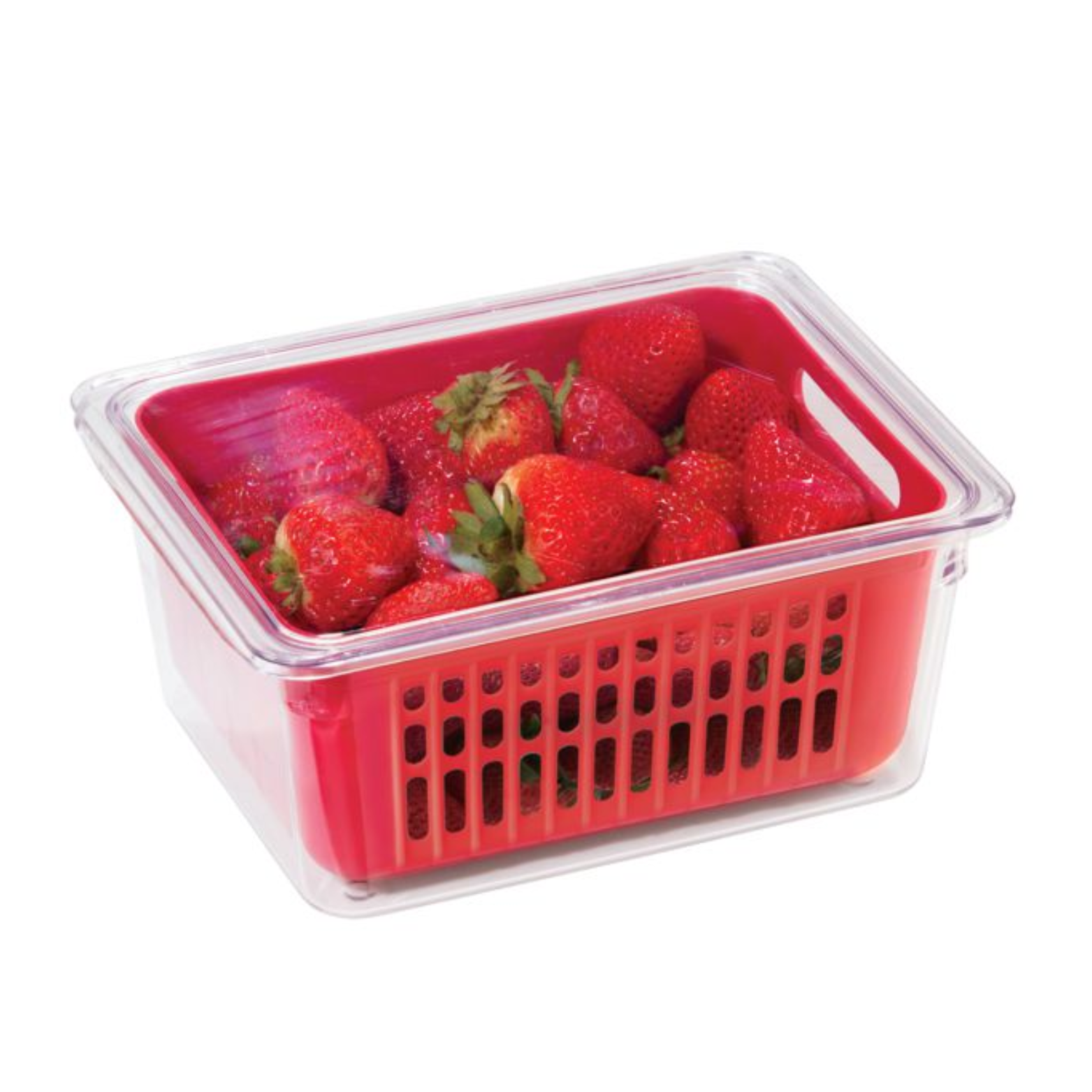 NEAT Simple Fruit Storage Bin