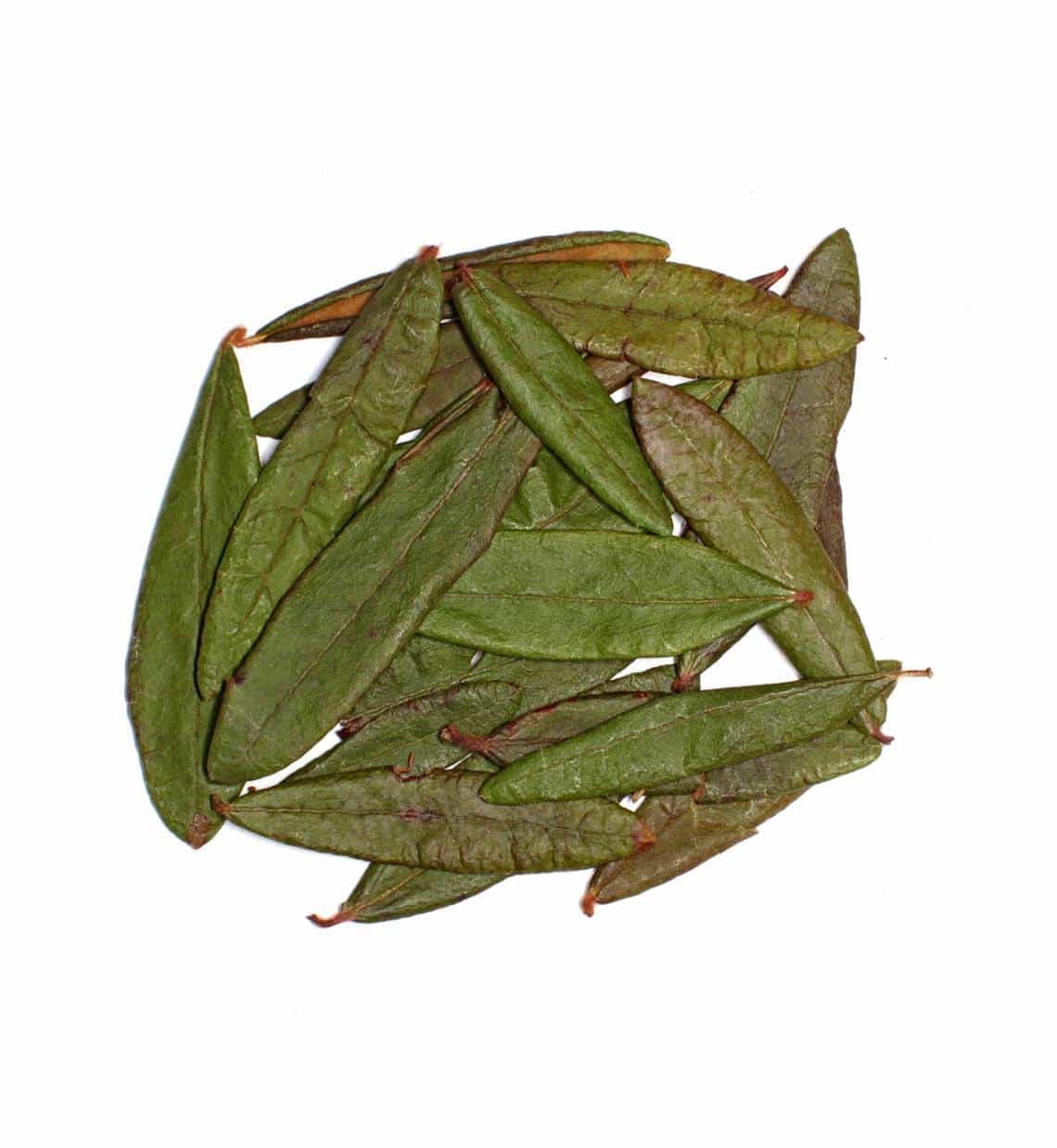 Thé du Labrador 8g - La route des Indes