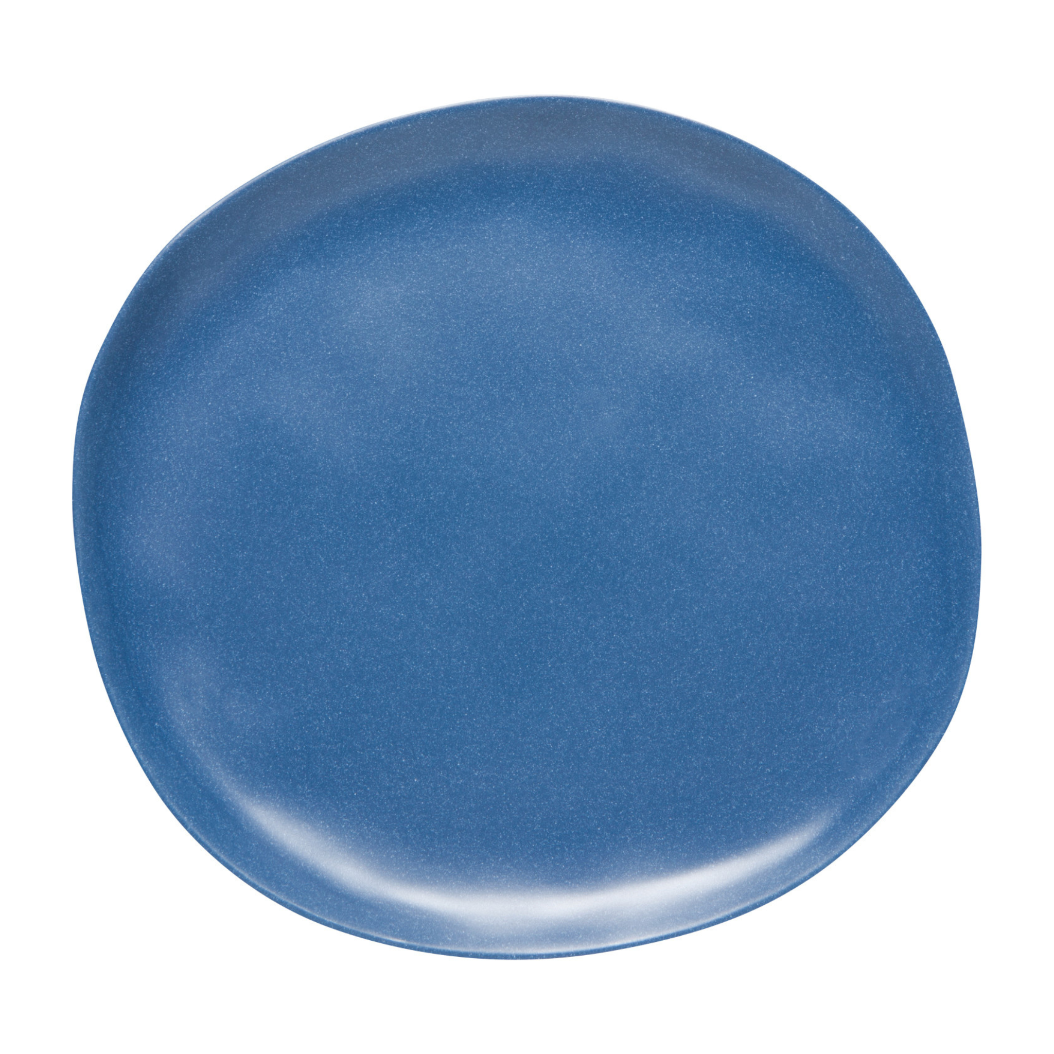 Danica 11" Navy Blue Melamine Plate