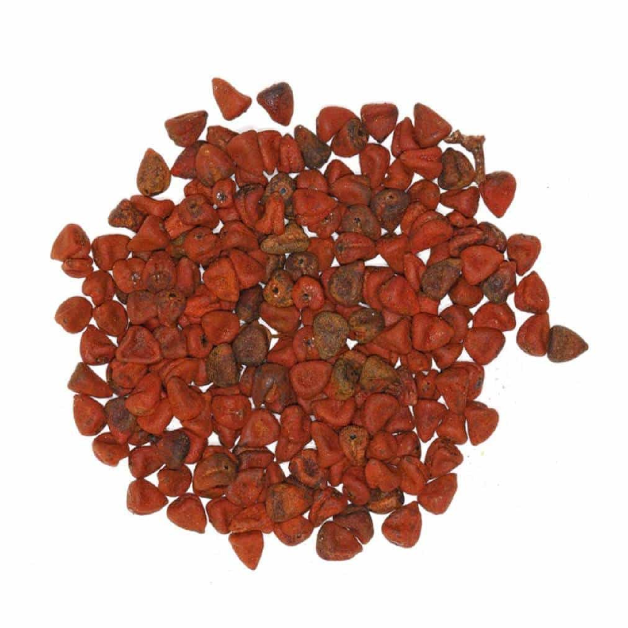 Épices roucou entier 58 g - La route des Indes