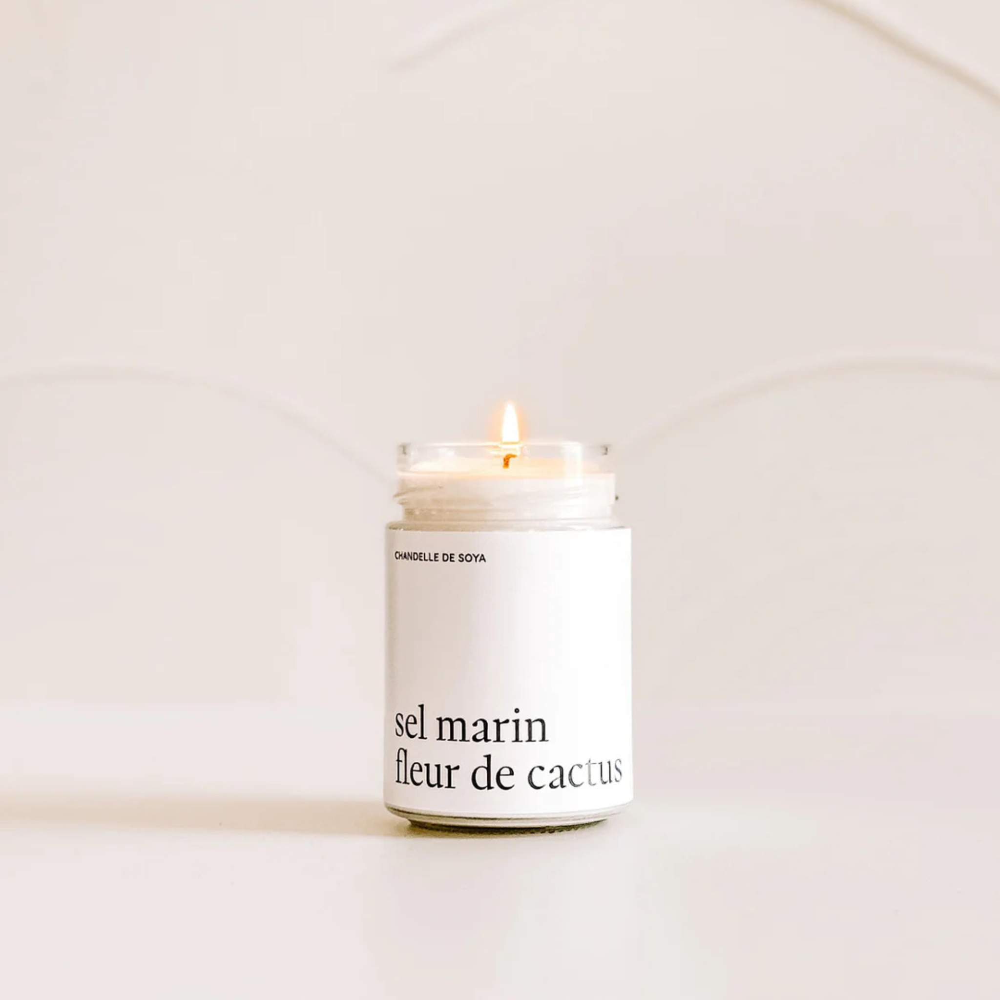 Sea Salt and Cactus Flower Soy Candle 314 ml - Marée Candles