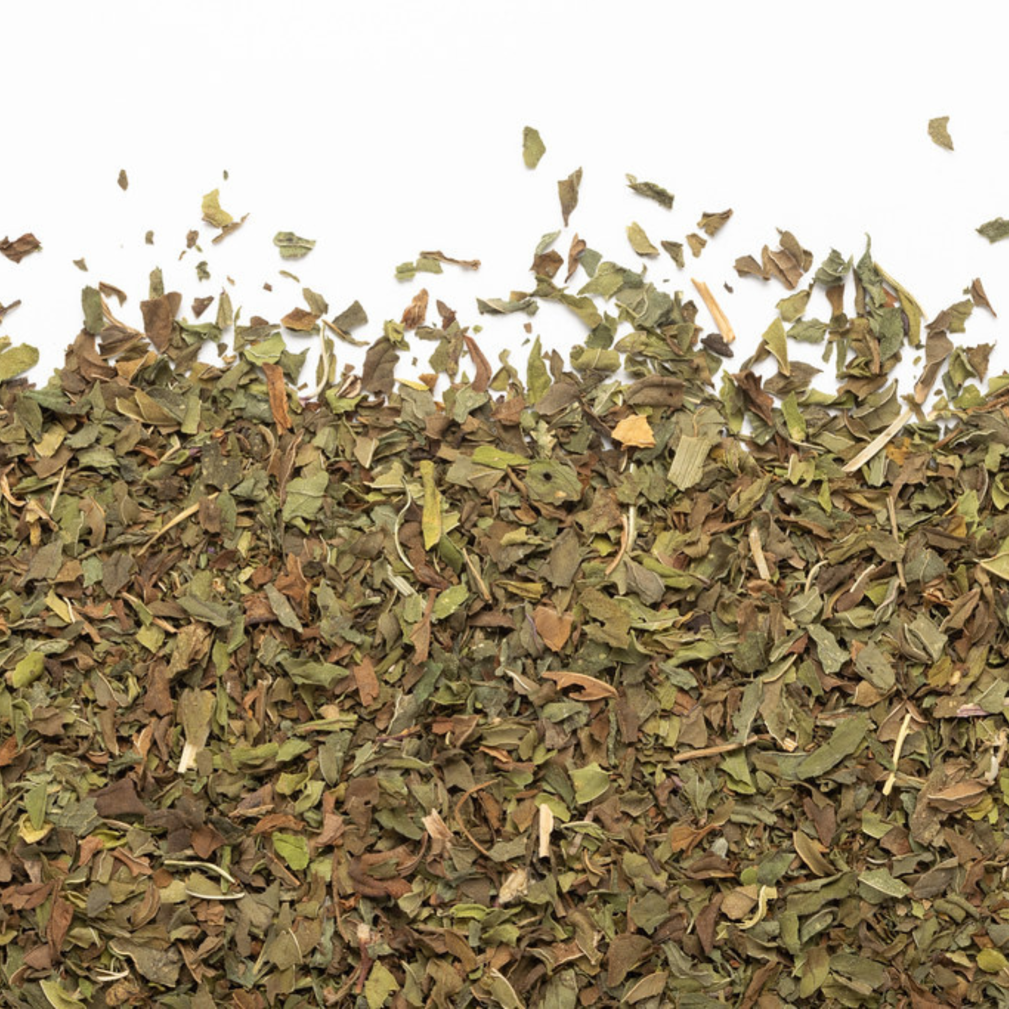 Organic Mint Tea 50 g - Camellia Sinensis