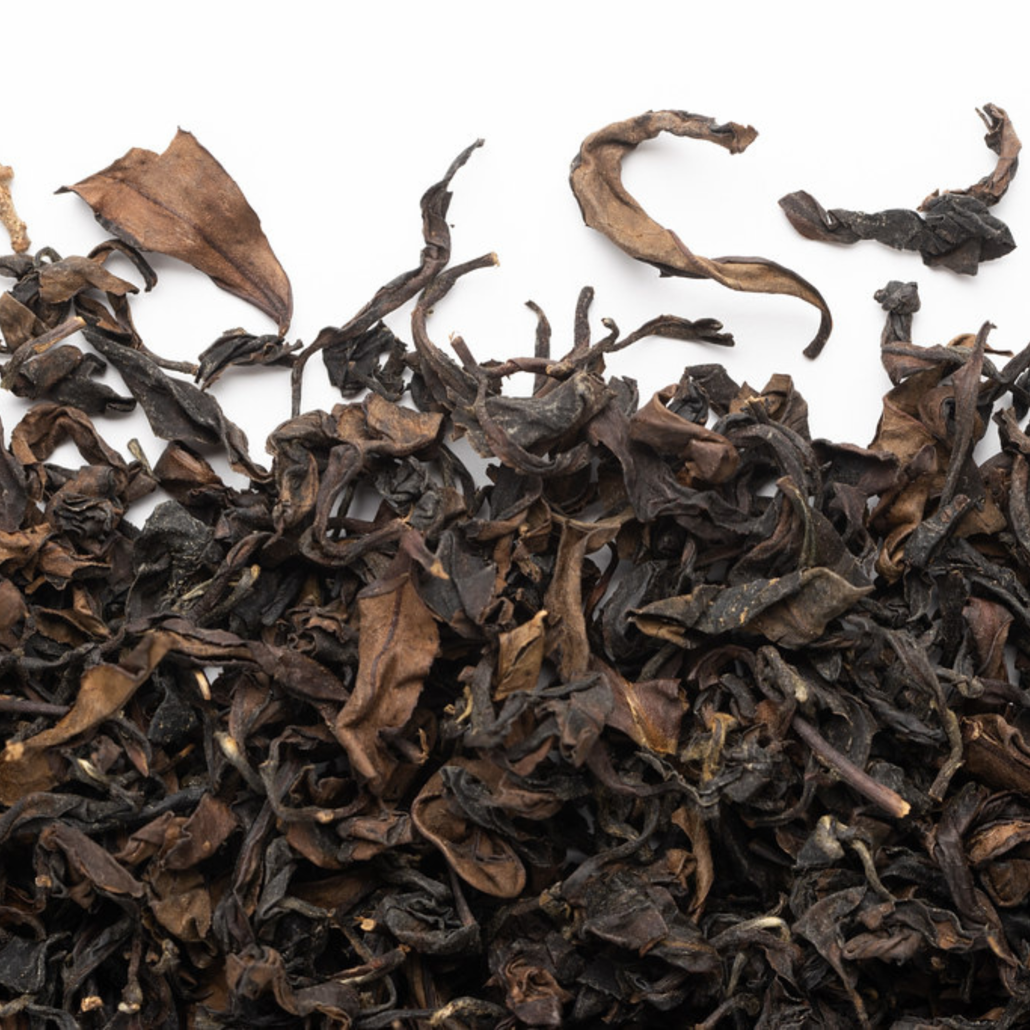 Organic Eastern Beauty Wulong Tea 40 g - Camellia Sinensis