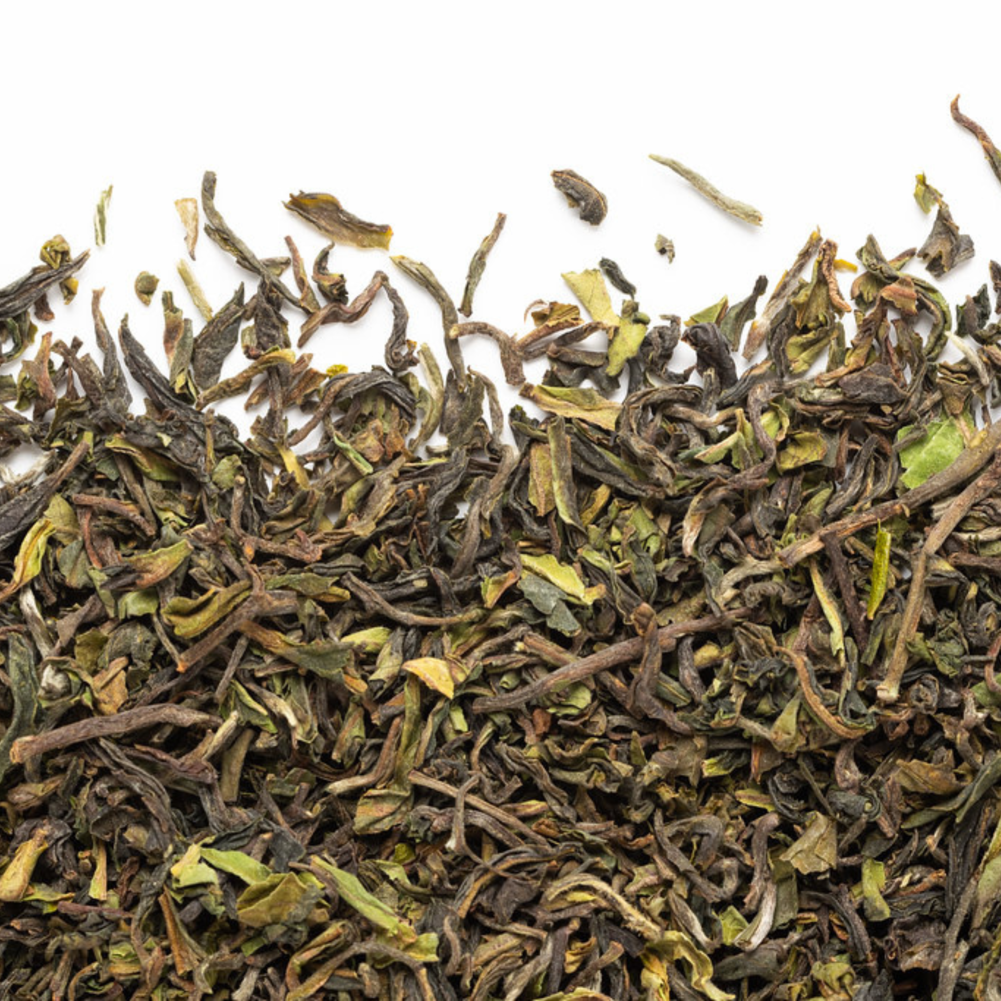 Black Tea Darjeeling Jungpana 65 g - Camellia Sinensis
