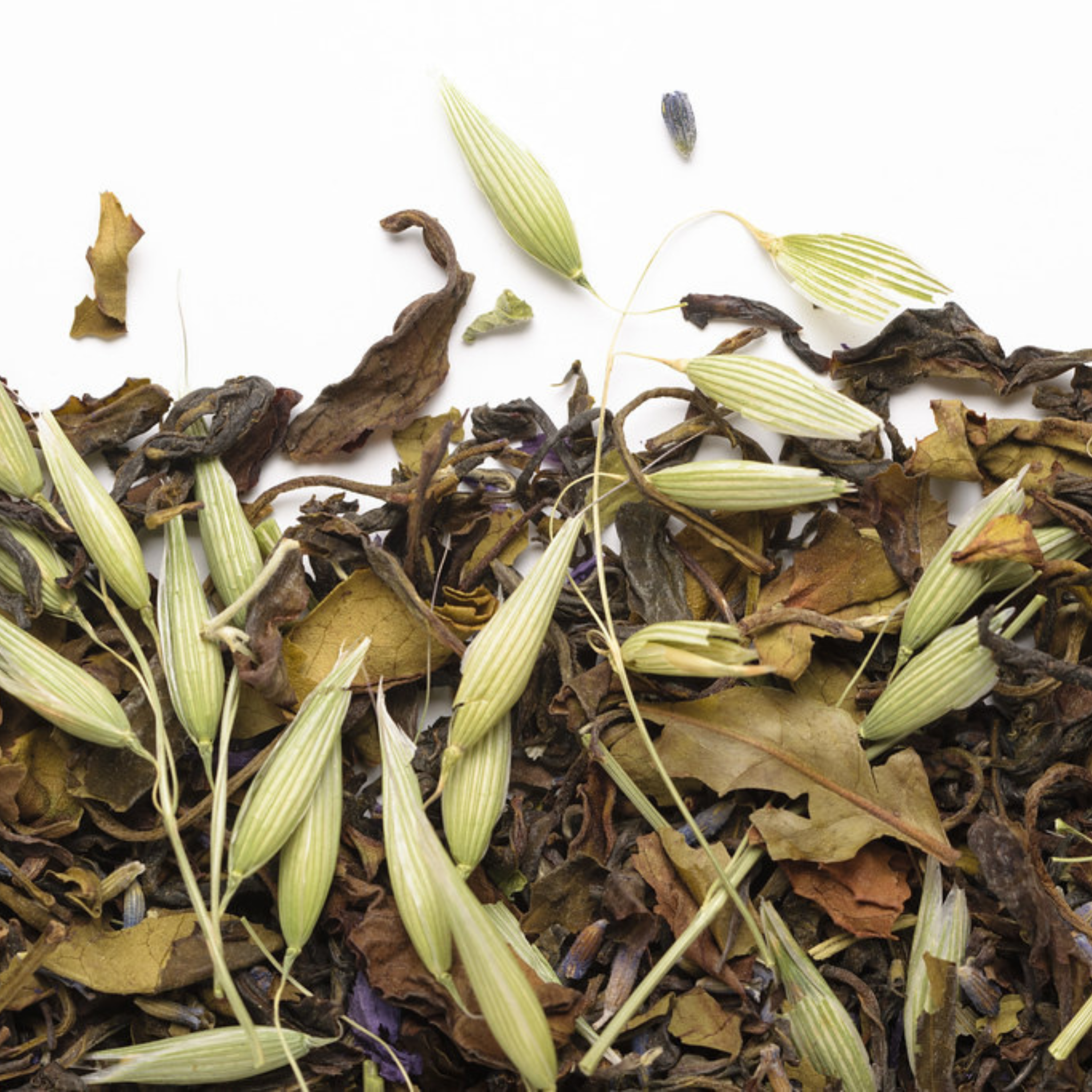 Iced tea One Summer in Organic Nilgiri 50 g - Camellia Sinensis