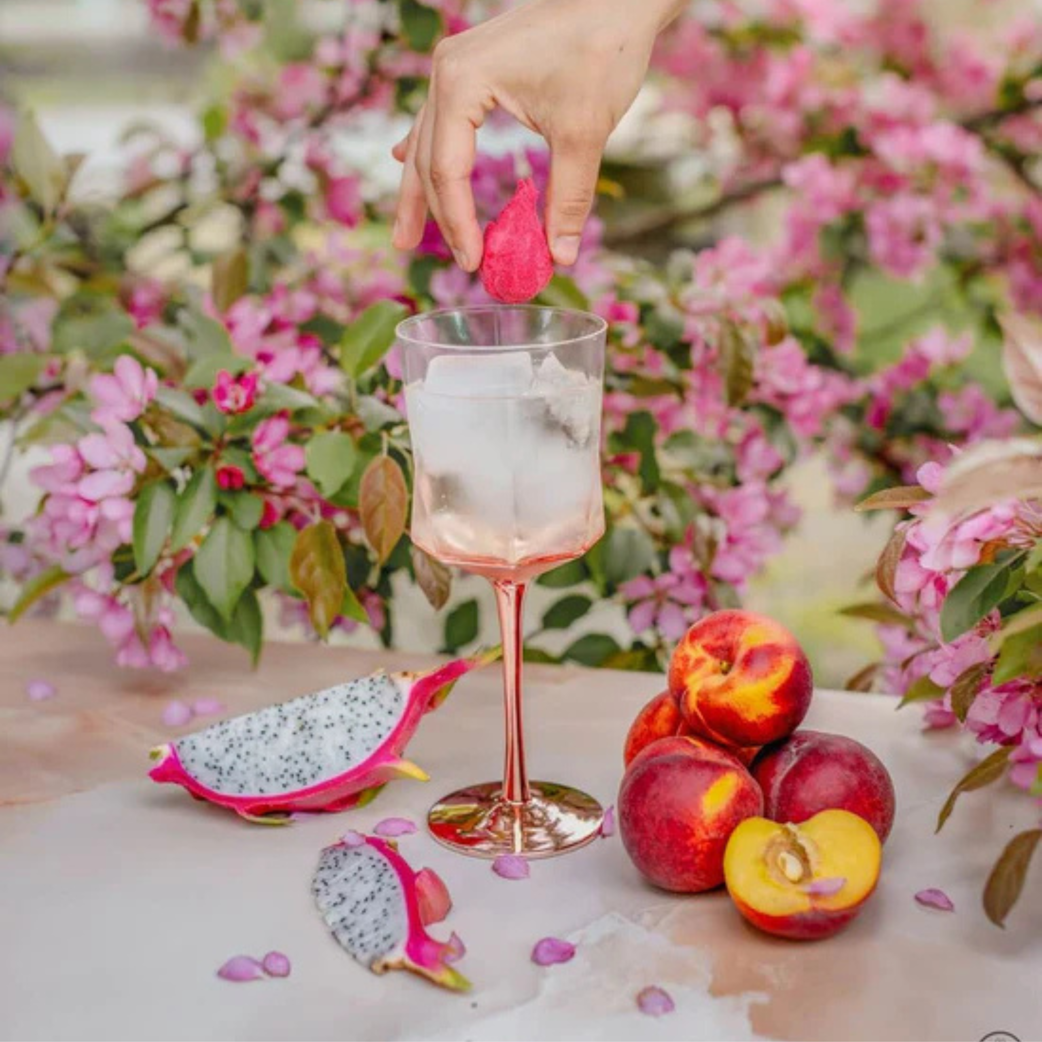 Ensemble de 6 bombes à cocktail Sangria fruit du dragon, pêche et fleur de cerisier - Poseidn