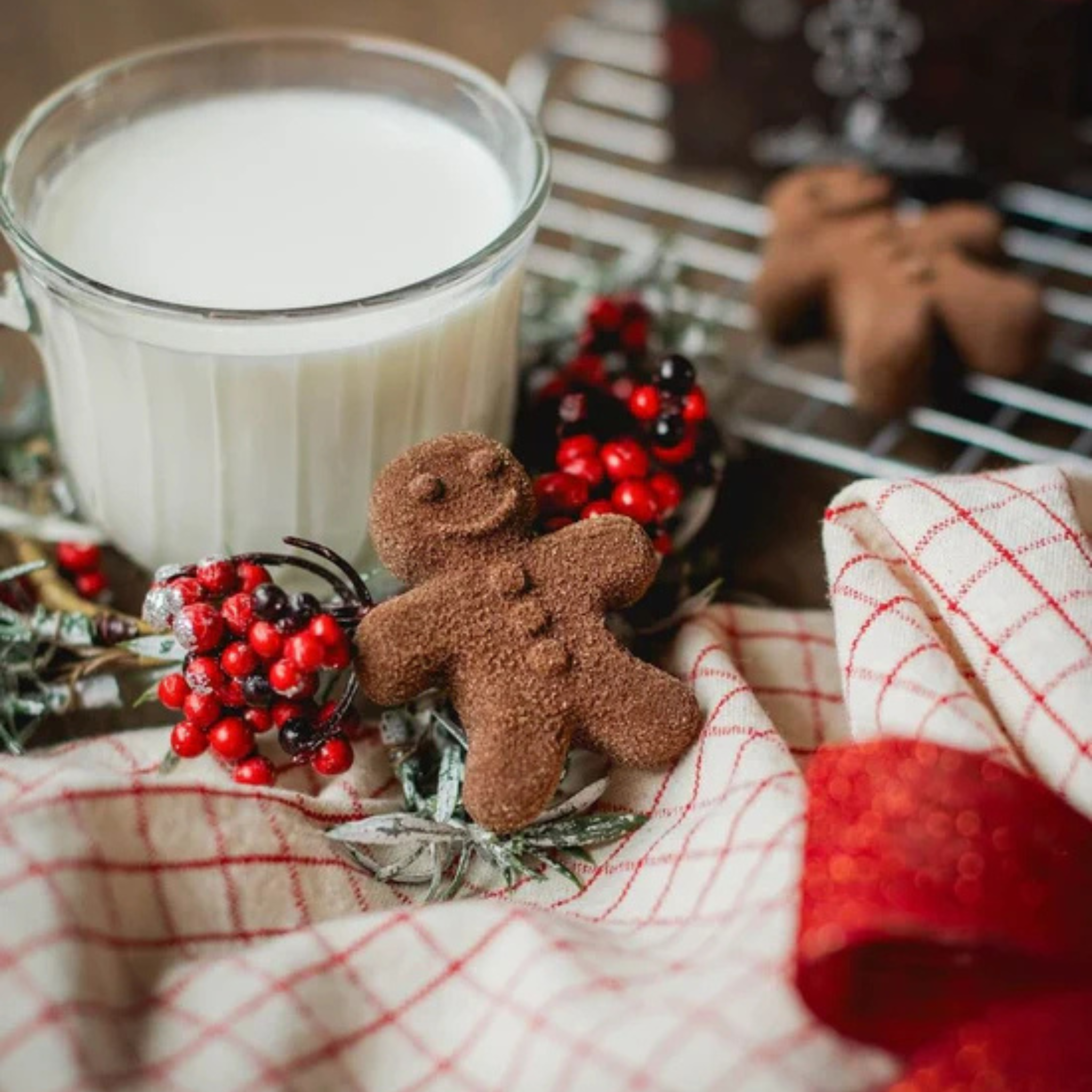 Ensemble de 6 bombes de chocolat chaud Pain d’épices - Poseidn