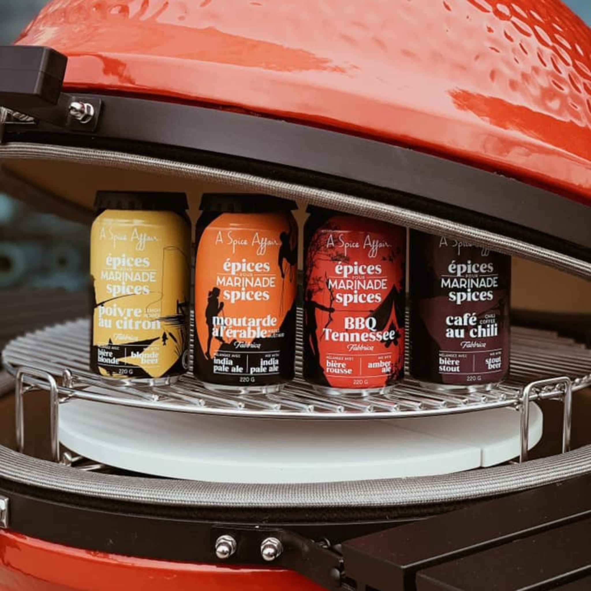 Épices pour marinade à la bière 220 g Saveurs variées