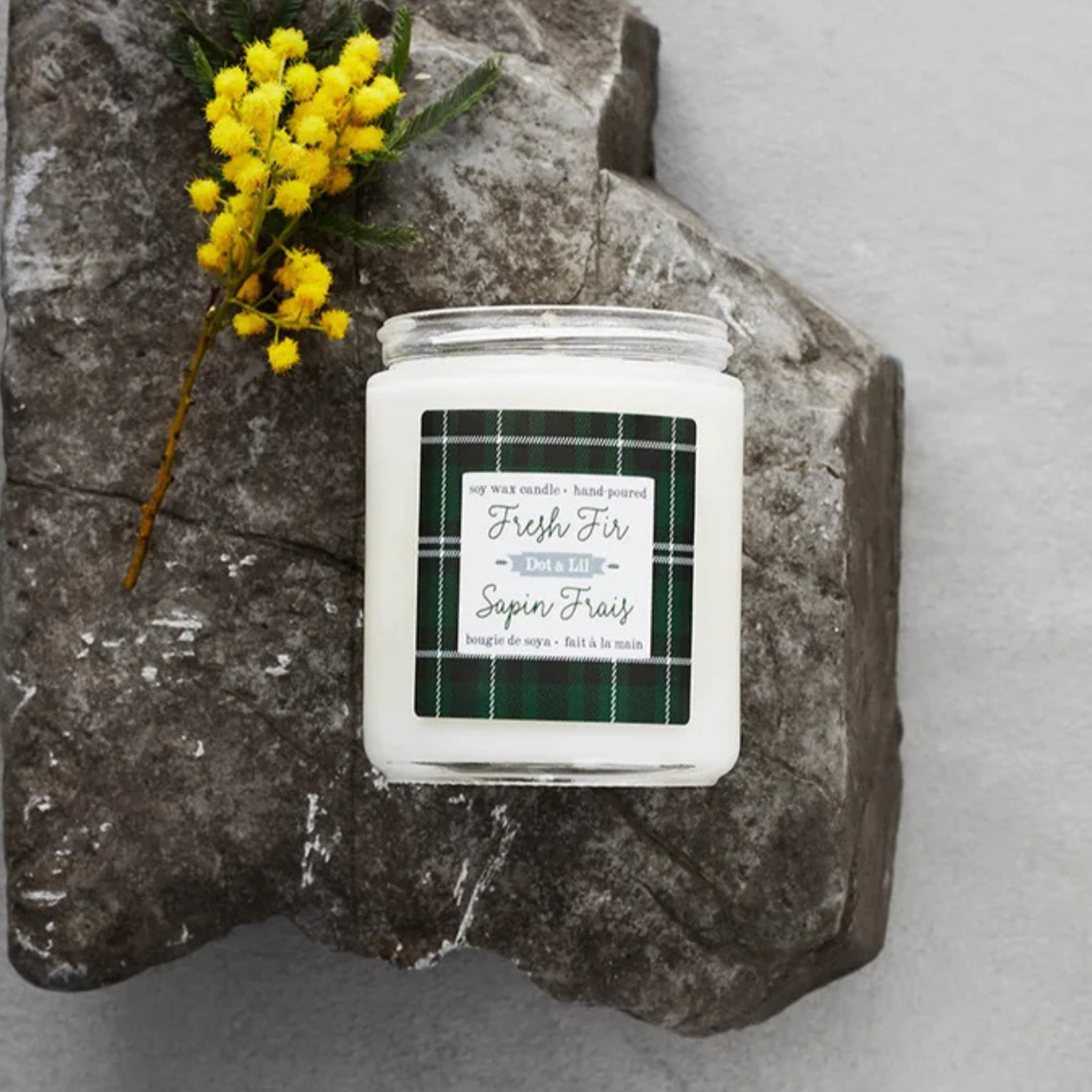 Chandelle de soya Sapin frais - Dot & Lil