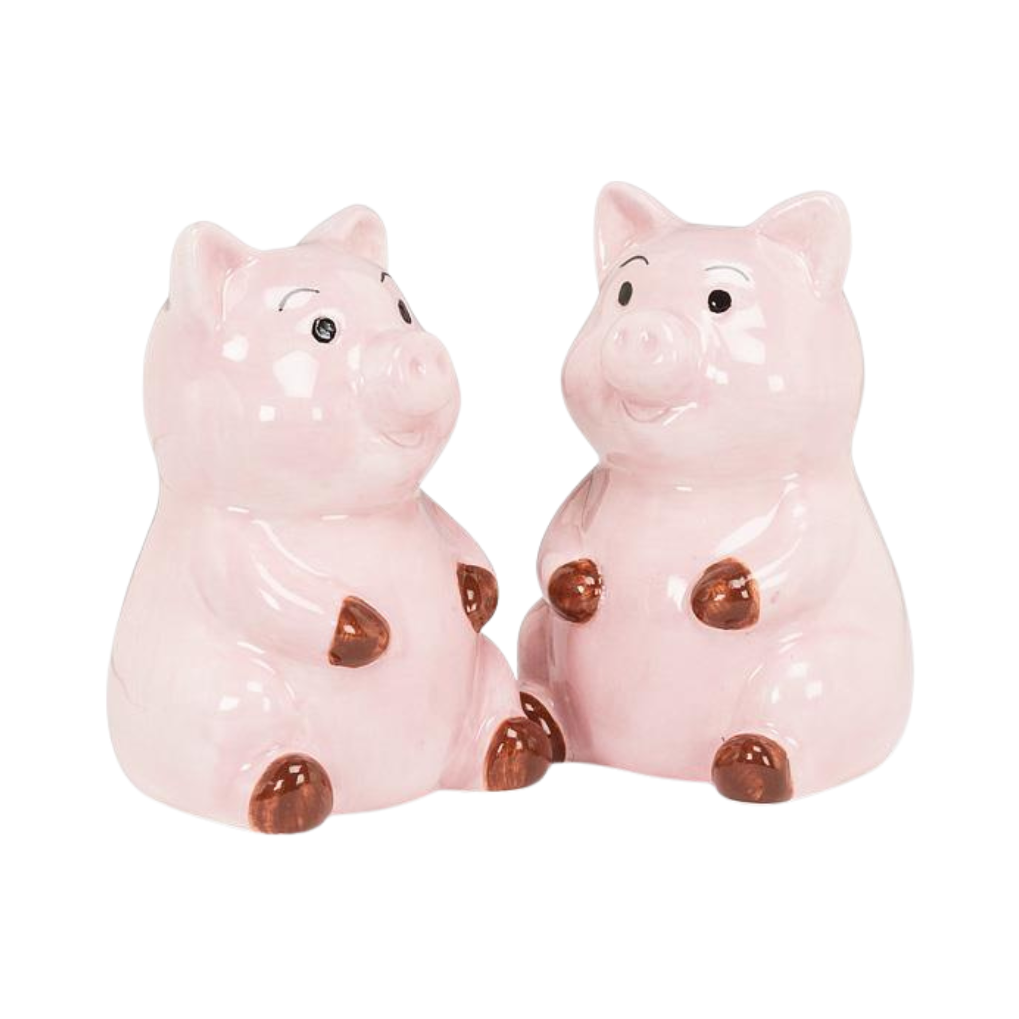 Ensemble de salière et poivrière cochon