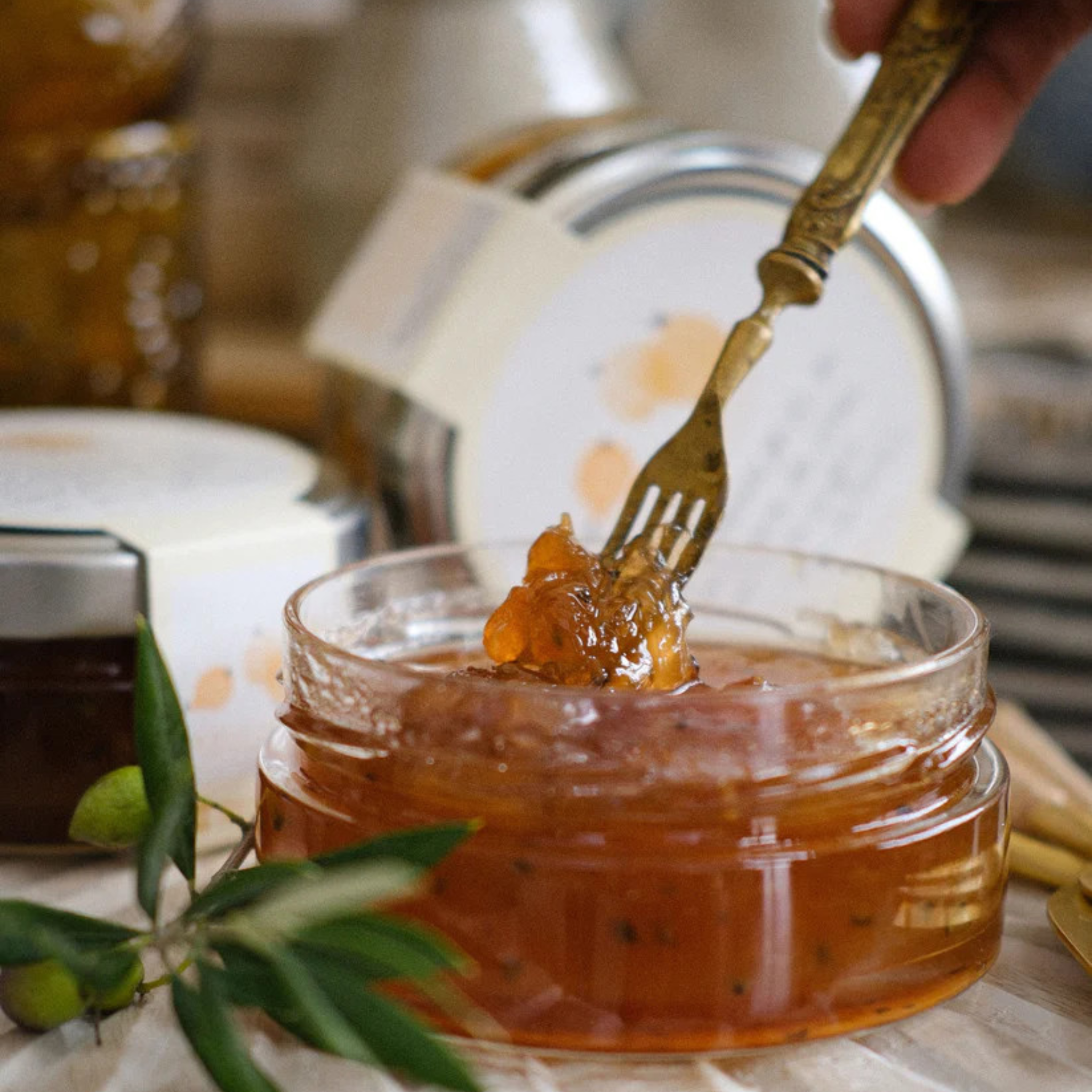 Pearl onion confit with lemon balsamic vinegar 212 ml - La Belle Excuse