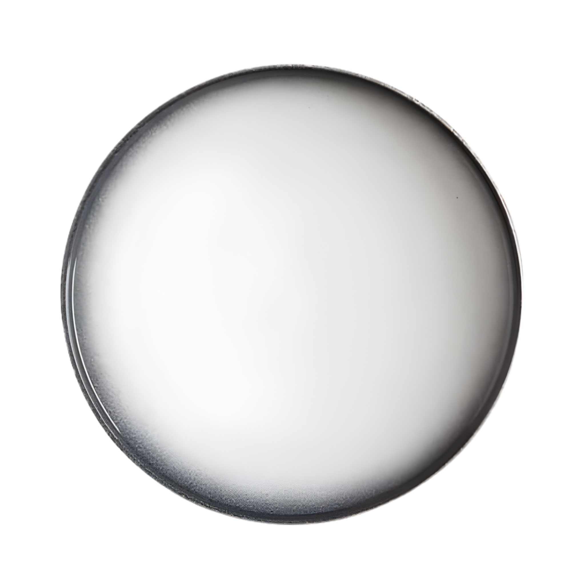 Assiette à rebord Caviar Granite 28 cm - Maxwell & Williams