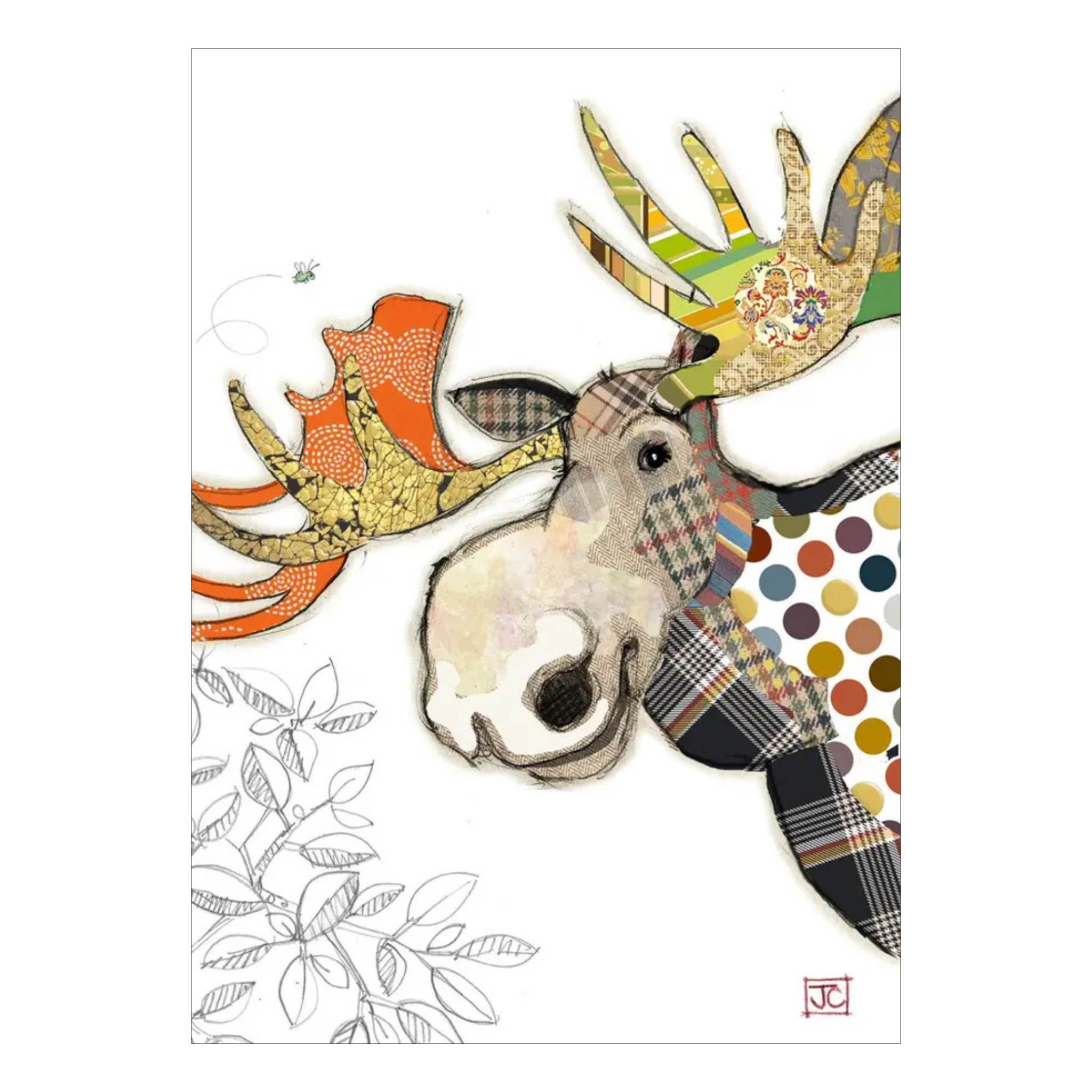 Moose 5x7 Greeting Card