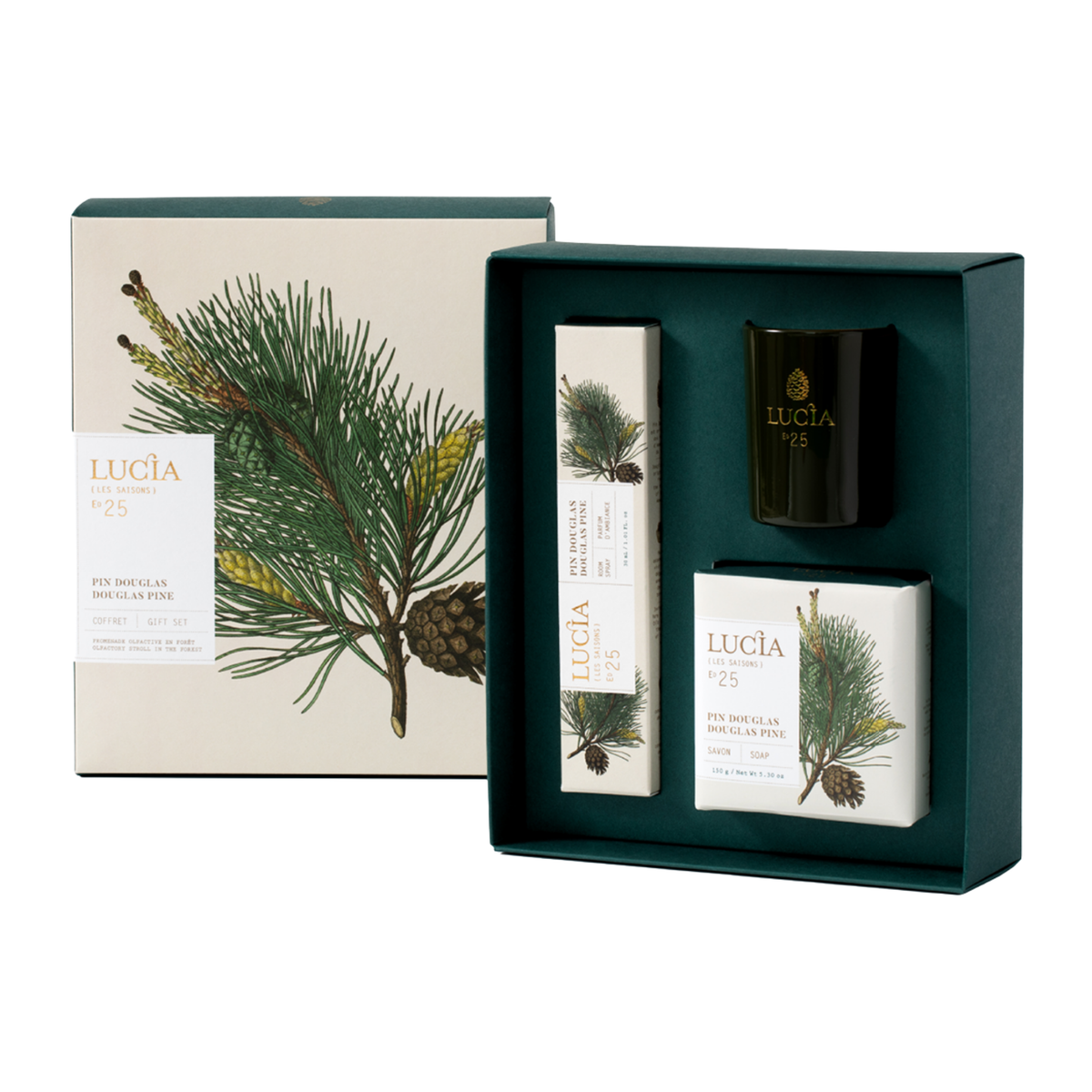 Coffret cadeau Pin Douglas Lucia ouvert, détail du contenu
