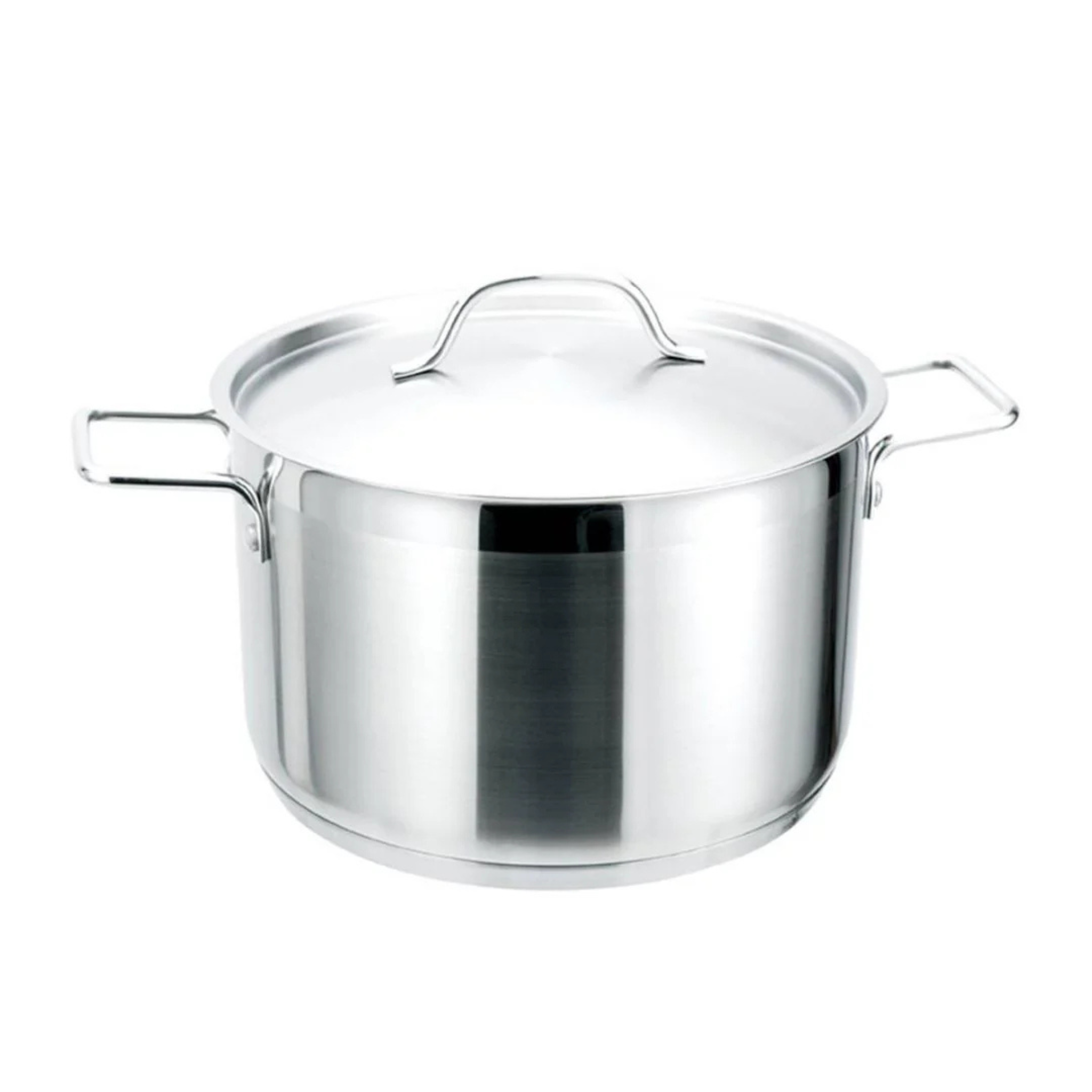 9 L Stainless Steel Stockpot with Lid – Strauss