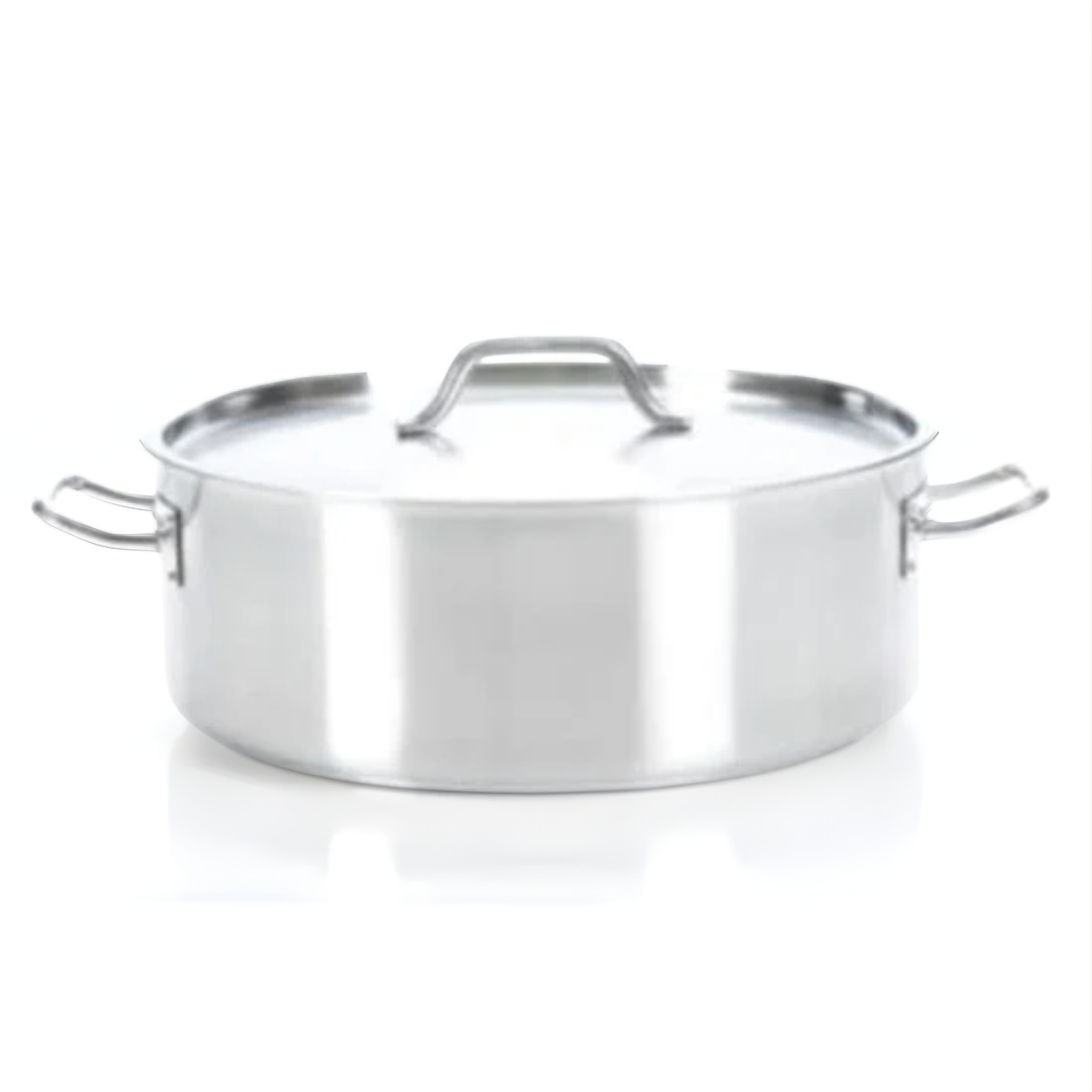 Stainless Steel Stock Pot with Lid 12 L – Strauss