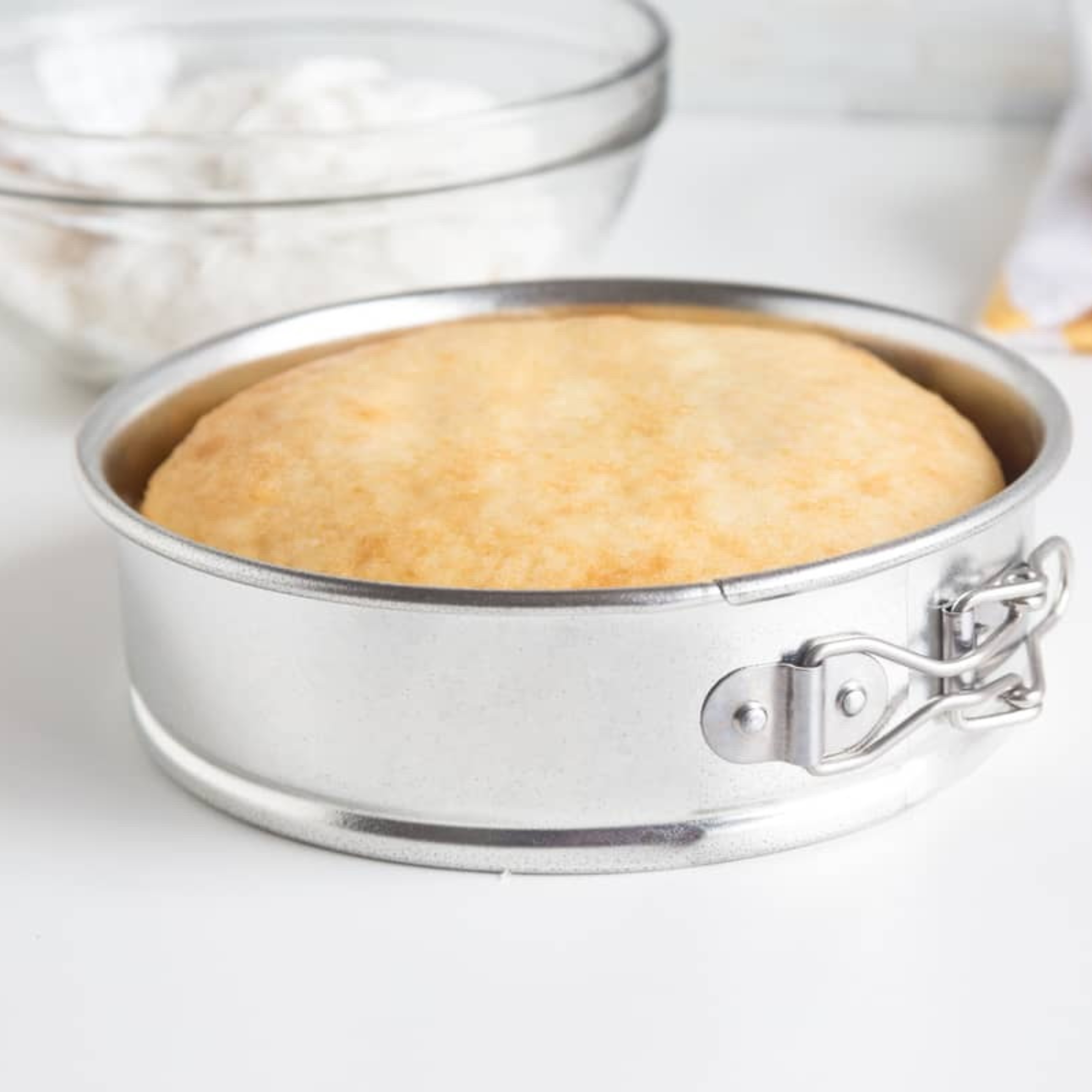 Springform Pan Various Sizes - Fox Run