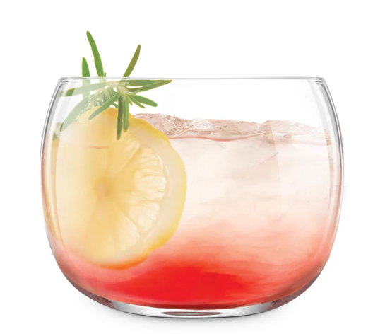 Ensemble de 2 verres à cocktail Revolve 17oz