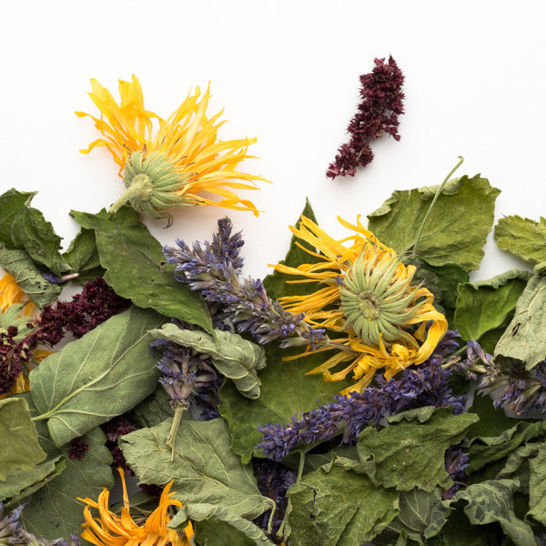 Thé L'apaisante bio 20 g - Camellia Sinensis