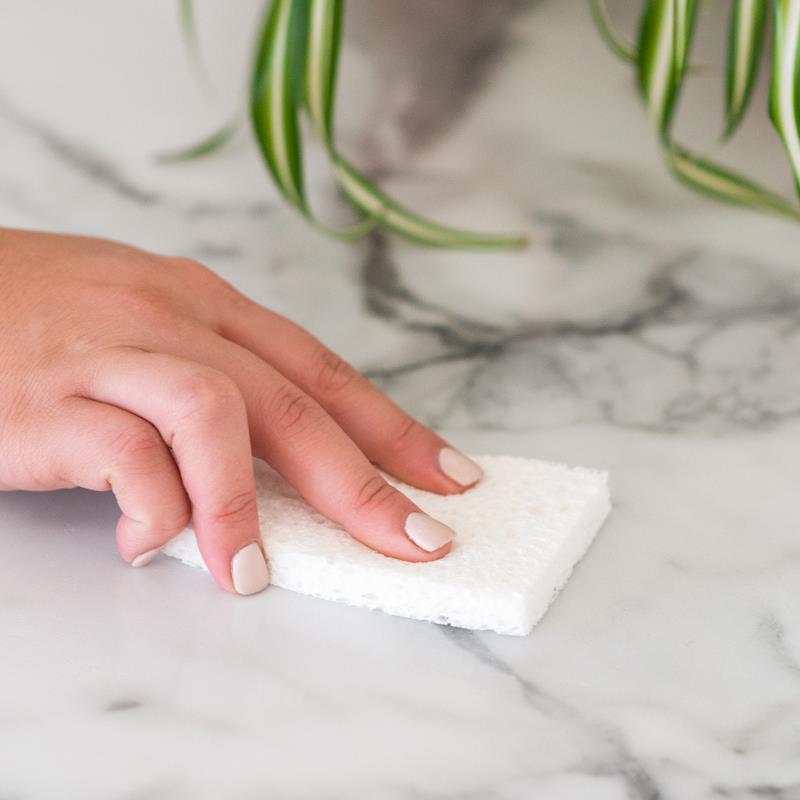 Ensemble de 3 éponges végétales