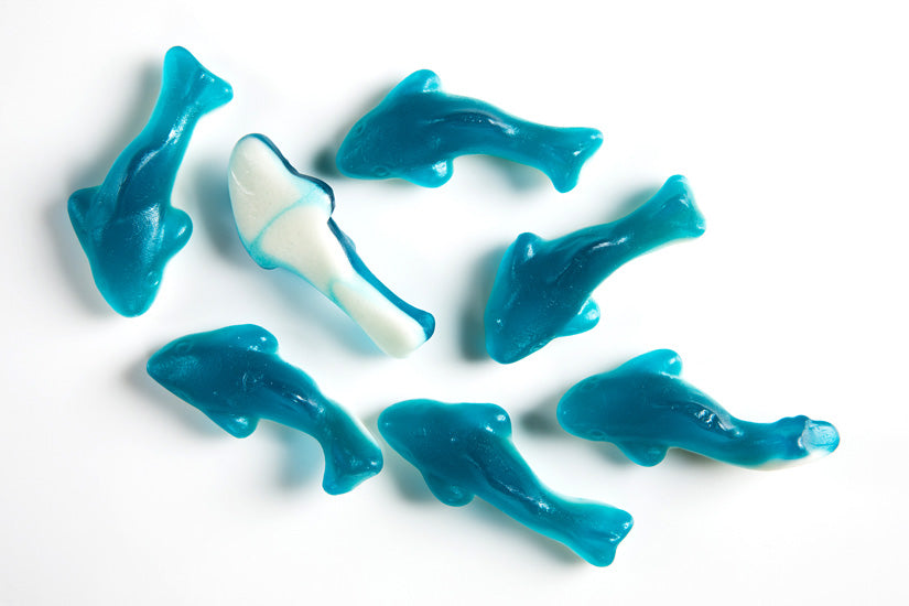 Requins bleus 1.2kg