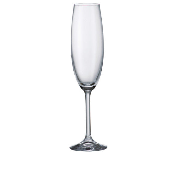 Ensemble de 6 coupes à champagne Gastro Colibri 220 ml