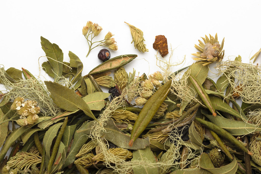 Tisane la Taïga sauvage 20 g - Camellia Sinensis