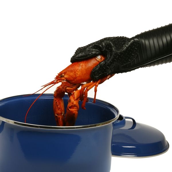 Marmite pour conserve 17L émail bleu - Norpro