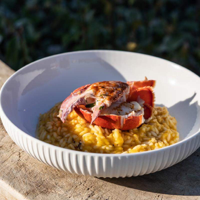 Large, shallow bowl, 24 cm, various patterns - BIA