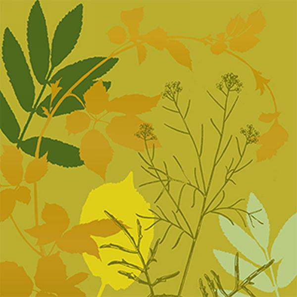 Serviettes de table Feuillage olive