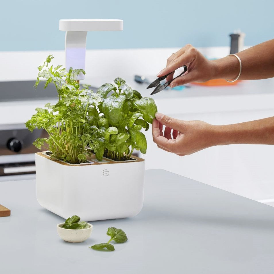 Jardin d'intérieur Botaneo Eylo Blanc