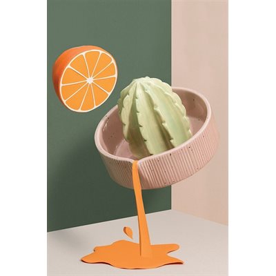 Presse-agrumes cactus Rose